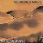 Spinning Mule